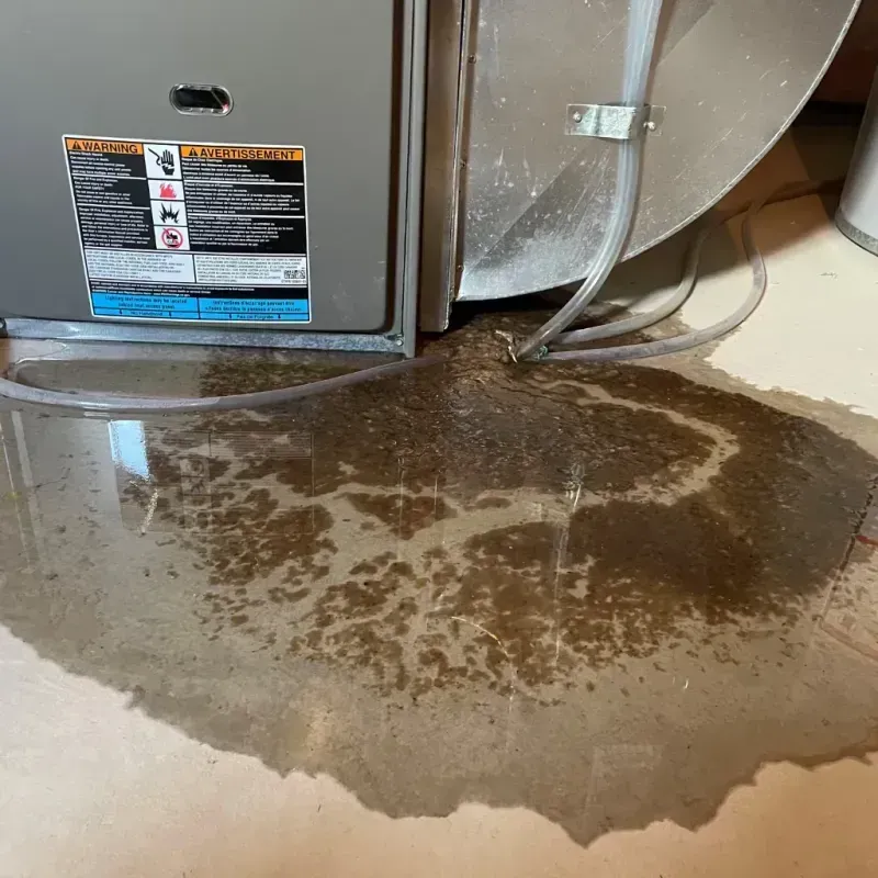 Appliance Leak Cleanup in Sanford, FL